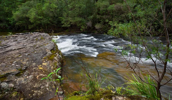 Rapids Kangaroo River Belmore Falls Nsw Australia — Stock fotografie