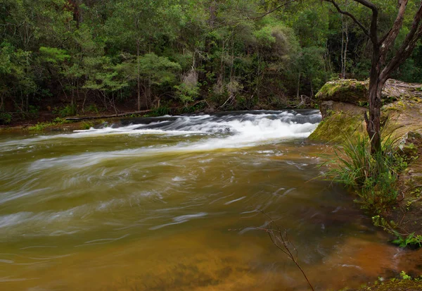 Rapids Kangaroo River Przy Wodospadzie Belmore Nsw Australia — Zdjęcie stockowe