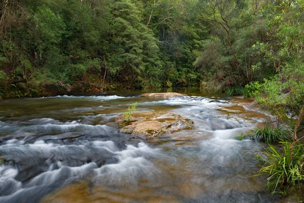 Rapids Kangaroo River Belmore Falls Nsw Australia — Stock fotografie