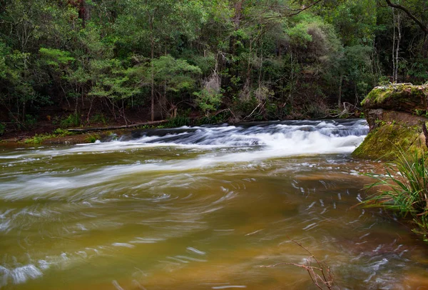 Stromschnellen Auf Dem Känguru River Bei Belmore Falls Nsw Australien — Stockfoto