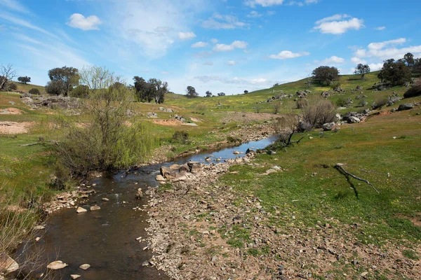 Grassy Creek Bij Rugby Nsw Australië — Stockfoto