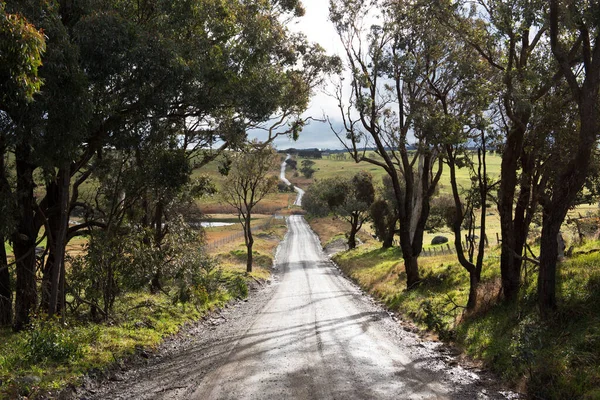 Pejar Road Près Crookwell Nouvelle Galles Sud Australie — Photo