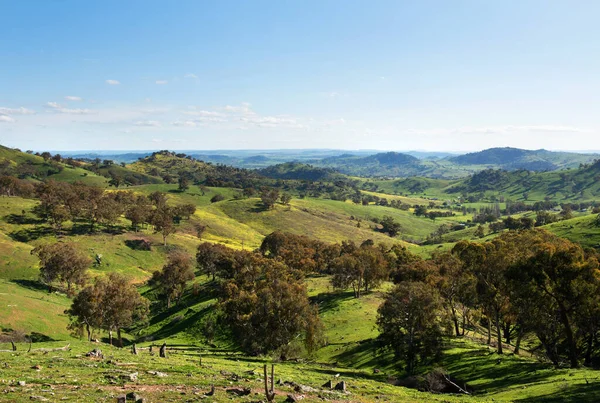 Una Vista Panoramica Tra Wyangala Cowra Nel Nuovo Galles Del — Foto Stock