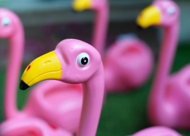 Plastik parlak pembe flamingo, sarı gagalı, seçici odaklı