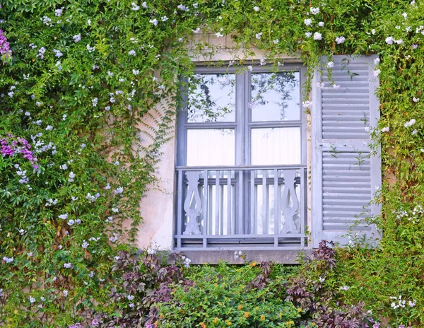 Yazın Sonlarında Yeşil Sarmaşıklar Çiçeklerle Çerçevelenmiş Kepenk Balkonlu Romantik Lavanta — Stok fotoğraf