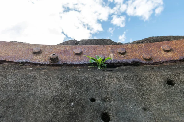 Viejo Búnker Guerra Fort Lytton Brisbane Queensland Australia — Foto de Stock