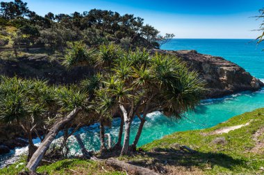 Kuzey Stradbroke Adası, Queensland, Avustralya.