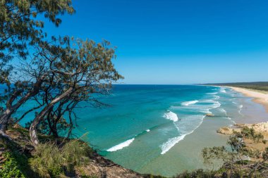 Kuzey Stradbroke Adası, Queensland, Avustralya.