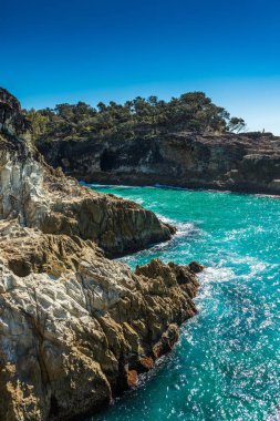 Kuzey Stradbroke Adası, Queensland, Avustralya.