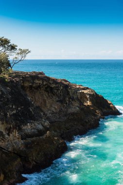 Kuzey Stradbroke Adası, Queensland, Avustralya.