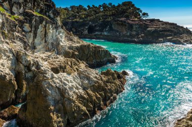 Kuzey Stradbroke Adası, Queensland, Avustralya.