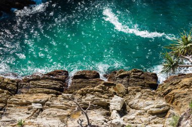 Kuzey Stradbroke Adası, Queensland, Avustralya.