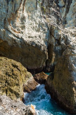 Kuzey Stradbroke Adası, Queensland, Avustralya.