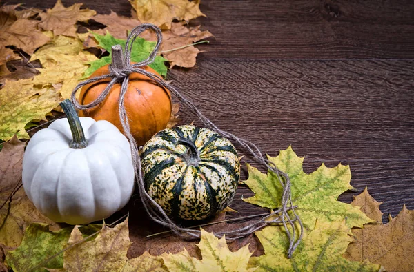 Pumpkins and leaves — Stock Photo, Image