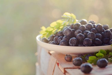 Olgun ve sulu taze yaban mersini closeup aldı. Beyaz tabakta yapraklarla yaban mersini.