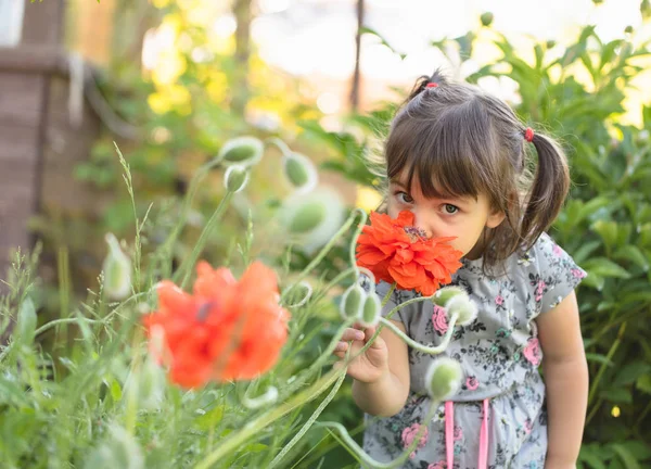 Retrato Uma Menina Três Anos Livre Jardim Cheirando Flores — Fotografia de Stock