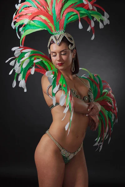 Beautiful Woman Carnival Costume Beautiful Professional Make Perfect Headdress Natural — Stock Photo, Image
