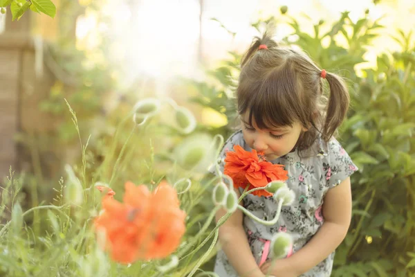 一个三岁小女孩的肖像在花园里闻花香 — 图库照片