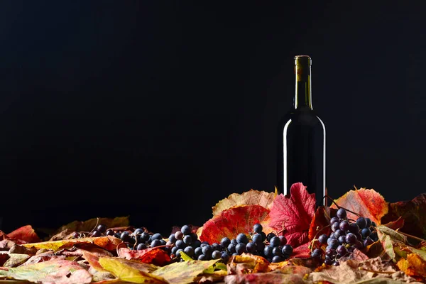 Rotweinflasche Und Trockene Weinblätter Weinprobe Und Herbstkonzept Schwarzer Hintergrund Kopierraum — Stockfoto