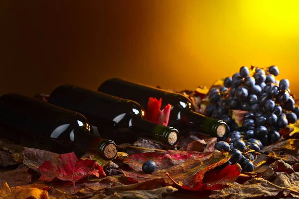 Rotweinflaschen Trauben Und Trockene Weinblätter — Stockfoto