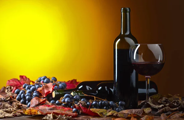 Rotwein Trauben Und Trockene Weinblätter — Stockfoto