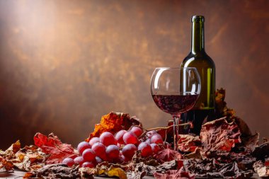 Kırmızı şarap üzüm ve kuru kadar asma bir masada bırakır. Kopya alanı.
