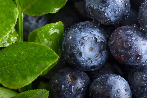 Ripe Juicy Fresh Picked Blueberries Closeup Blueberry Background Top View — Stock Photo, Image