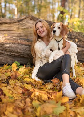 Genç güzel sarışın sonbahar parkta köpek ile yürüme. Sonbahar güneşli gün.