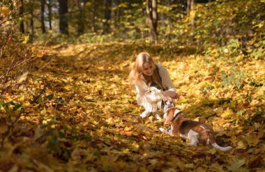 Genç güzel sarışın sonbahar parkta köpek ile yürüme. Sonbahar güneşli gün.