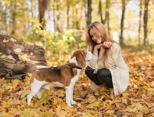 年轻漂亮的金发女郎在秋季公园里遛狗 秋天晴朗的天 — 图库照片