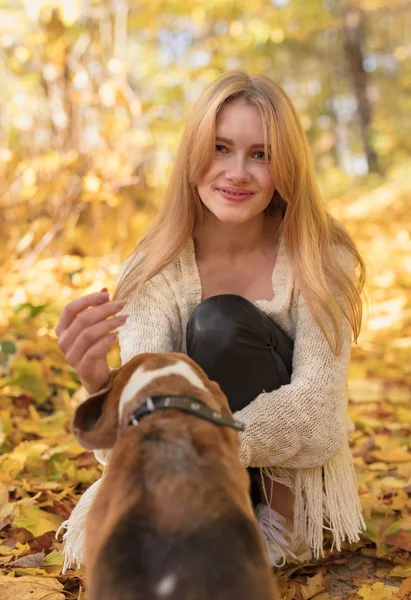年轻漂亮的金发女郎在秋季公园里遛狗 秋天晴朗的天 — 图库照片