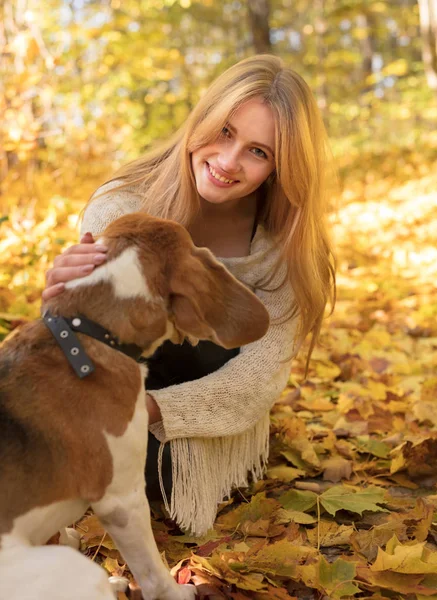 Молодая Красивая Блондинка Гуляет Собакой Осеннем Парке Осенний Солнечный День — стоковое фото