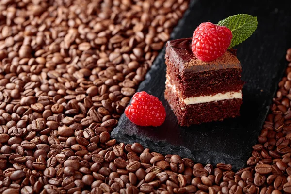 Çikolatalı kek Ahududu ve nane ile closeup. Kopya alanı.