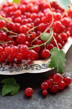 Redcurrants ile metal bir yemek üzerinde. Seçici odak.