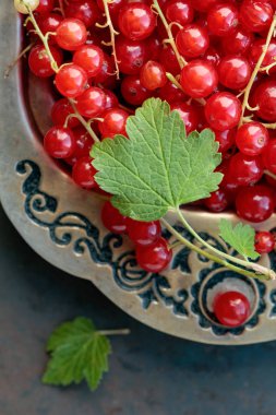 Redcurrants ile metal bir yemek üzerinde. Metniniz için kopya alanı.