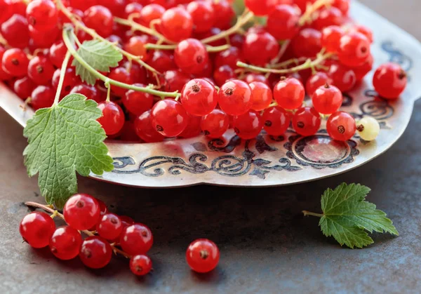Redcurrants ile metal bir yemek üzerinde. Seçici odak.