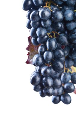 Üzüm grup ile izole üzerinde beyaz arka plan bırakır.