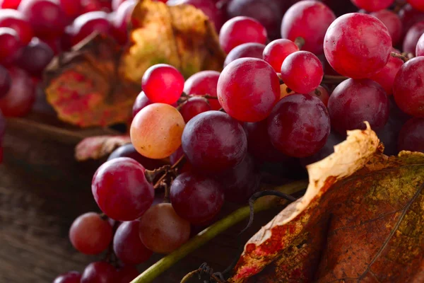 Des Grappes Raisins Rouges Mûrs Avec Des Feuilles Raisin — Photo