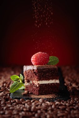 Çikolatalı kek Ahududu ve nane ile closeup.