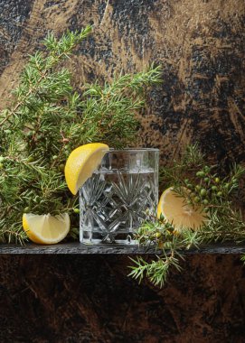 Kokteyl cin, limon dilimleri ile tonik ve ardıç bir delikanlı. Metniniz için kopya alanı.