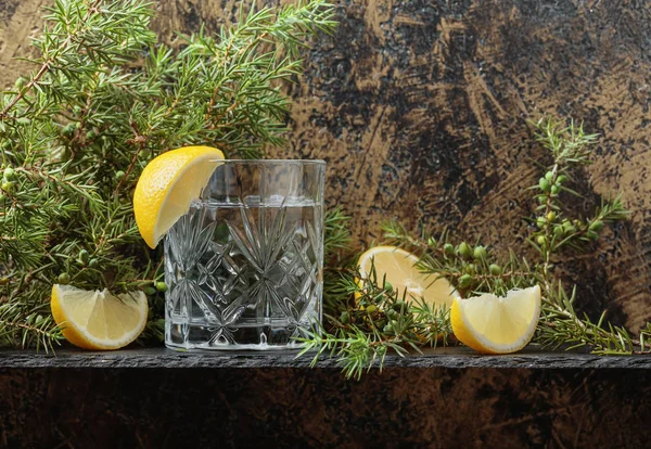 Cocktail Gin Tonique Avec Des Tranches Citron Soupçon Genièvre Copiez — Photo