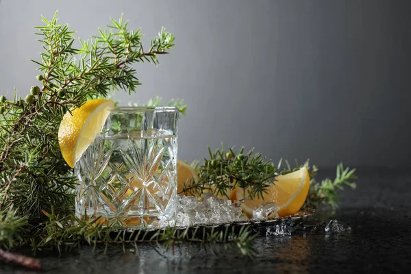 Gin Cóctel Tónico Con Rodajas Limón Una Ramita Enebro Copia — Foto de Stock