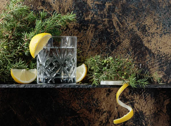 Koktejl Gin Tonic Plátky Citronu Větvička Jalovce Prostor Pro Váš — Stock fotografie