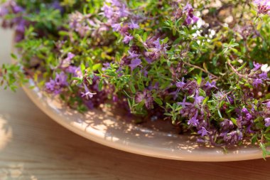 Kültürsüz çiçekli kekik pişirme, tıp ve parfümeri kullanılır.