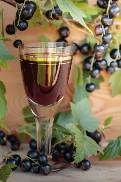 Hausgemachter Likör Aus Schwarzen Johannisbeeren Und Frischen Beeren Auf Einem — Stockfoto