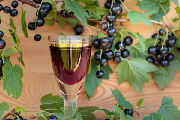 Hemgjord Likör Gjord Svarta Vinbär Och Färska Bär Gren Vintage — Stockfoto