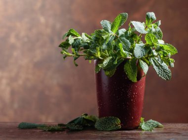 Eski ahşap masa üzerinde taze yeşil organik nane demet.