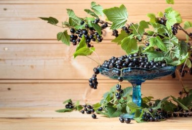 Taze Olgun siyah kuş üzümü rustik ahşap zemin üzerinde. Yeşil yaprakları, yeni berry hasat ile doğal organik çilek ile kase.