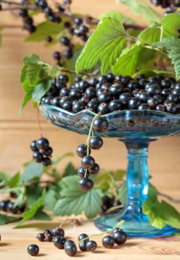 Taze Olgun siyah kuş üzümü rustik ahşap zemin üzerinde. Yeşil yaprakları, yeni berry hasat ile doğal organik çilek ile kase.