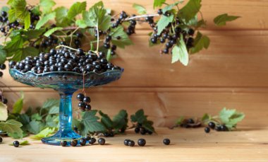 Taze Olgun siyah kuş üzümü rustik ahşap zemin üzerinde. Yeşil yaprakları, yeni berry hasat ile doğal organik çilek ile kase.